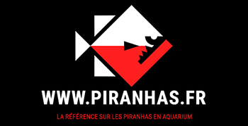 www.piranhas.fr